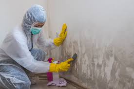 Best Residential Mold Inspection & Testing in Great Neck Plaza, NY